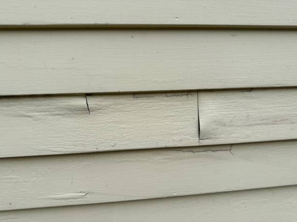 Best Storm Damage Siding Repair  in Little Silver, NJ